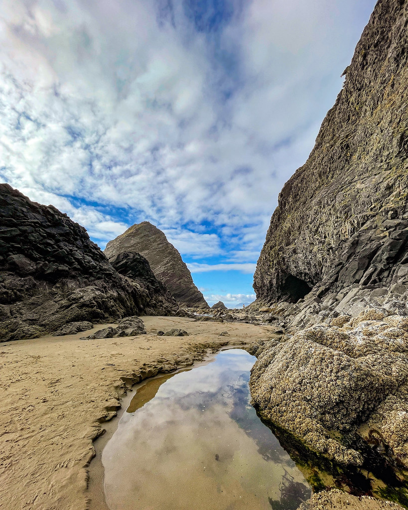 Tide pool, Arch Cape, Oregon coast coltera Flickr