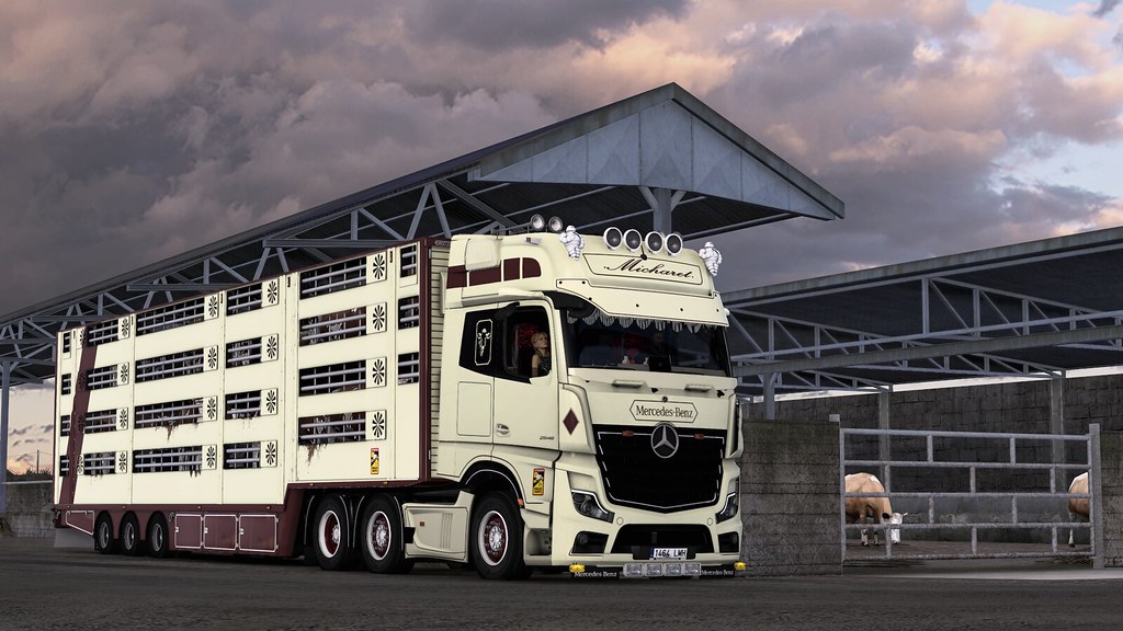 Cow dealer Micharet Transport Flickr