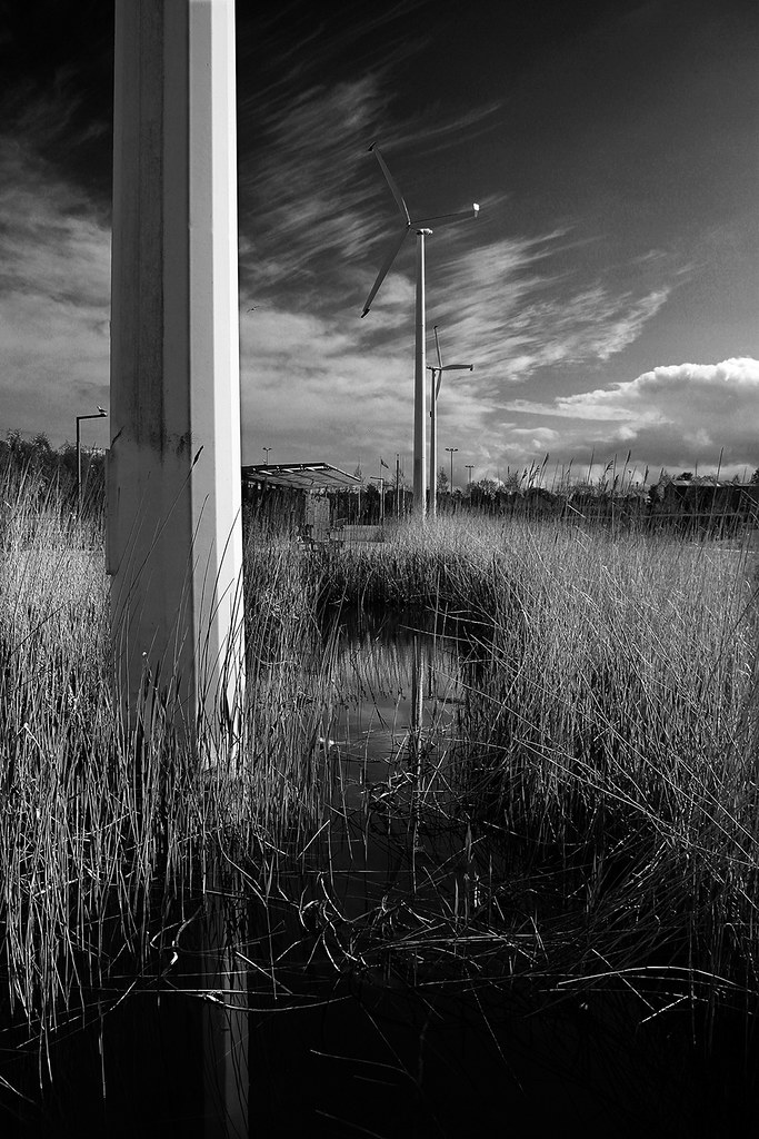 Collins Park (12) s Pat Carey Flickr