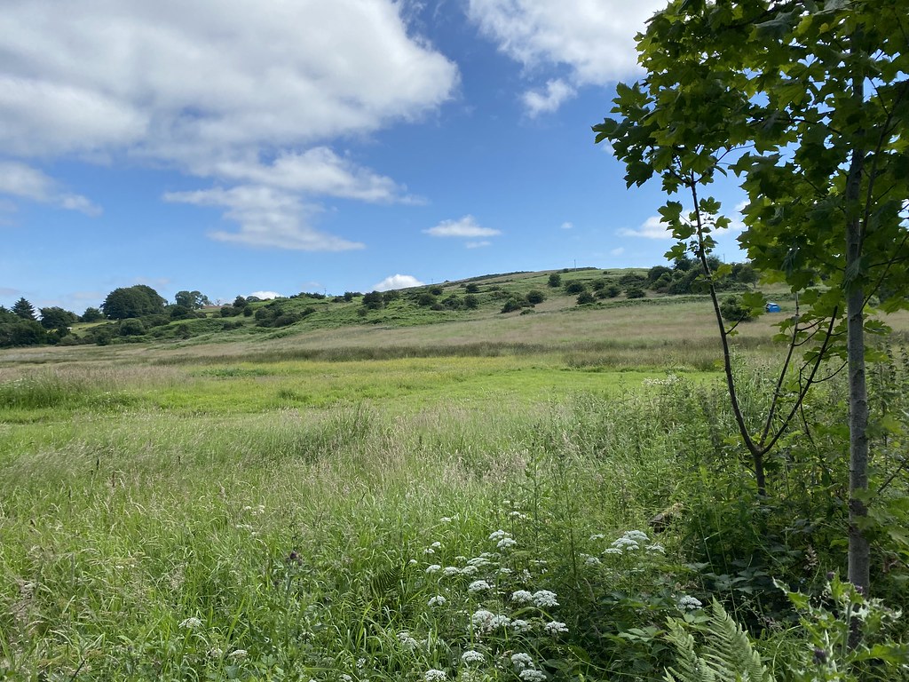 Bathgate Hills looking south from Torphicen John Lord Flickr