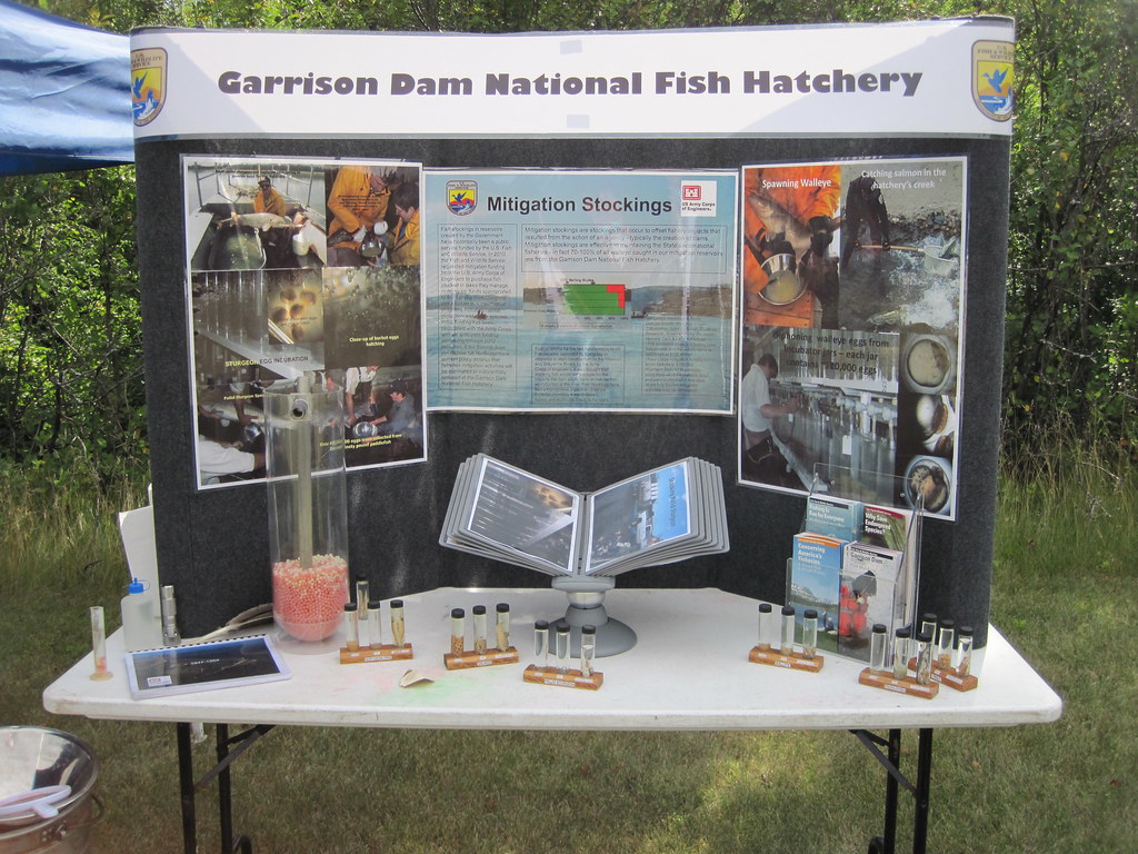 Greenwings Day at Des Lacs National Wildlife Refuge Flickr