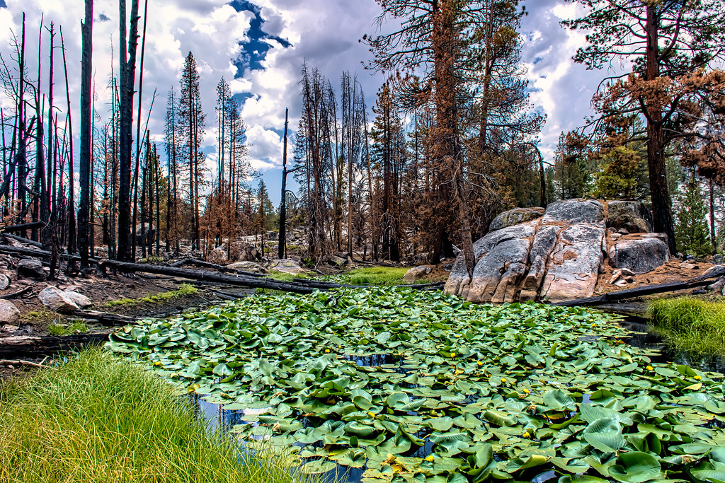 Ward Lake Pond and the Creek Fire (Explored) One of my adv… Flickr