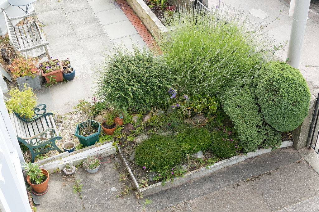 20210714_002 Broughty Ferry My front garden before the … Flickr