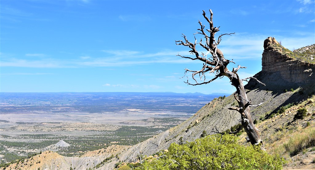 Looking down from Montezuma Valley Overlook Mesa Verde N… Flickr
