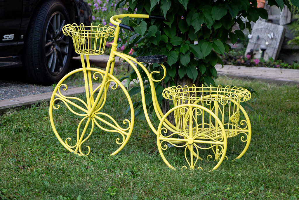 No. 555 Bush Street, Sault Ste. Marie, Ontario, Canada Flickr