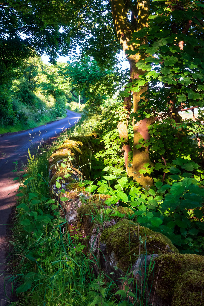 Wall of an old bridge, Newton of Belltrees, Lochwinnoch, R… Flickr