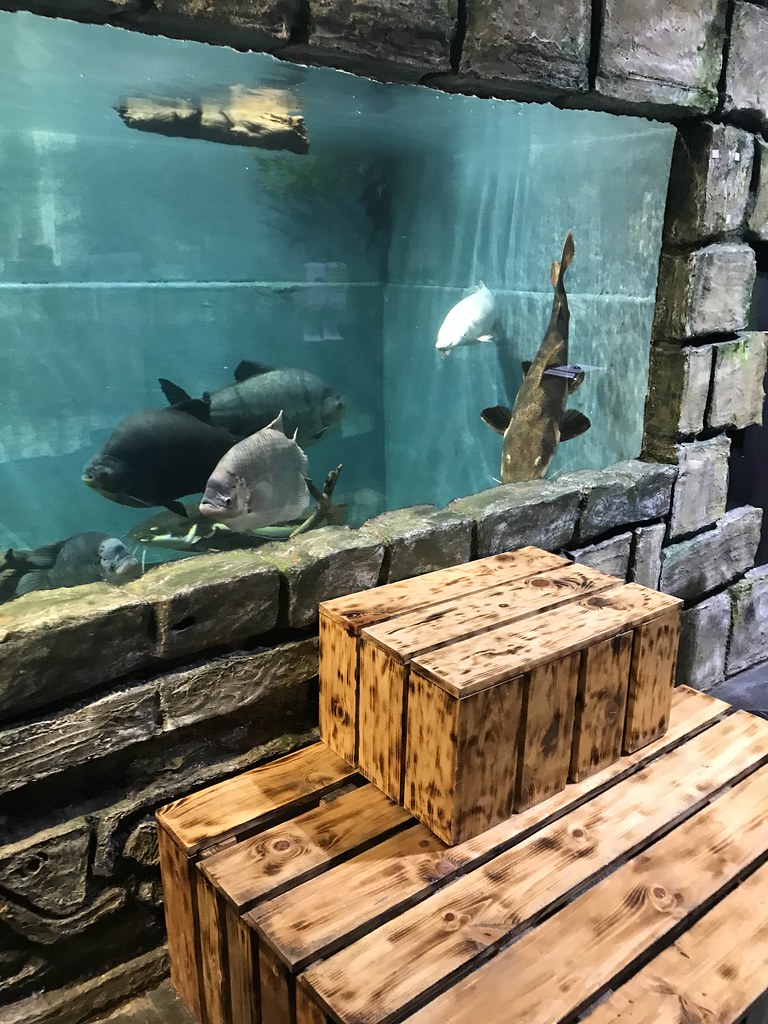 Blue Zoo Aquarium Flickr