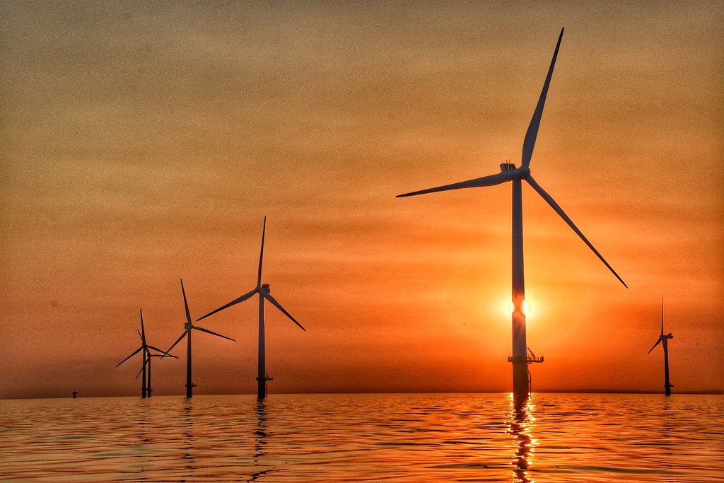 BHCC Rampion Wind farm boat trip 2021 Nick Aitchison Flickr