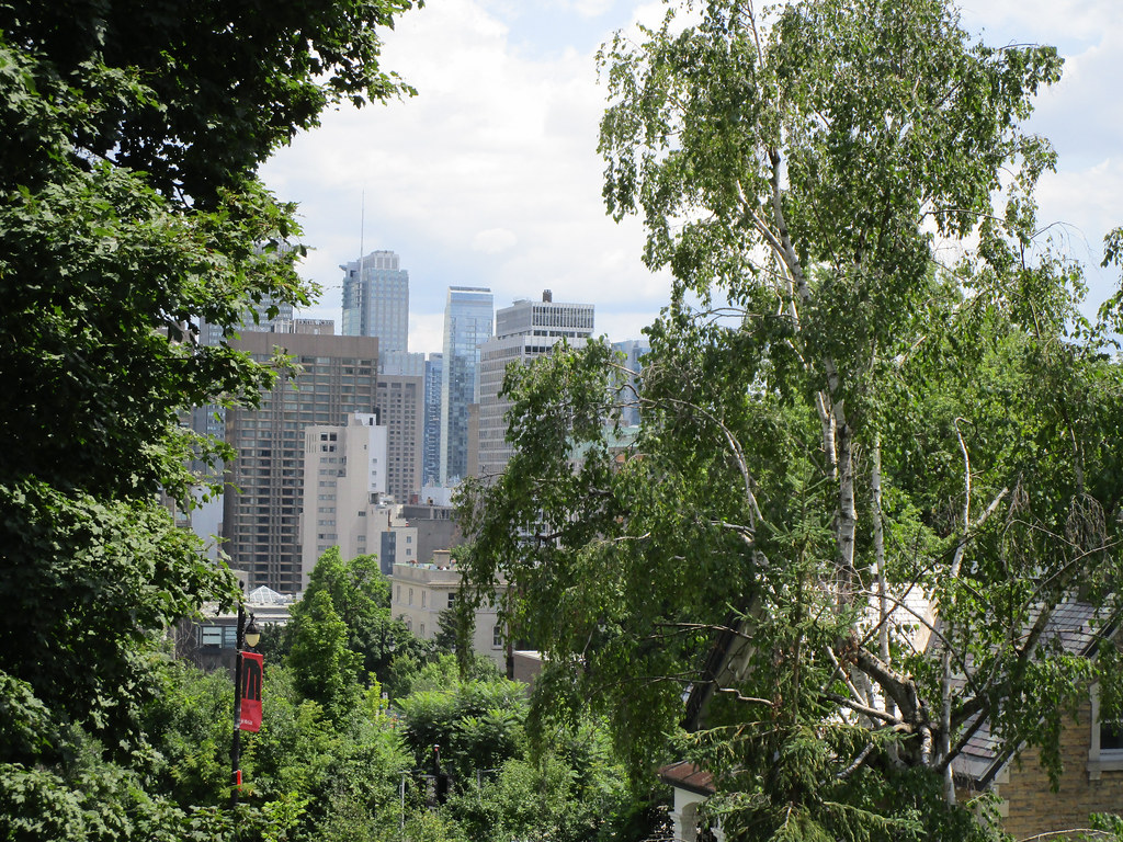 Avenue des Pins, Montréal Luc Forest Flickr