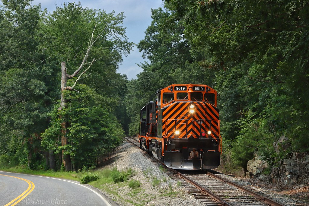 Rare Visitors At Freedom Street More than six months ago t… Flickr