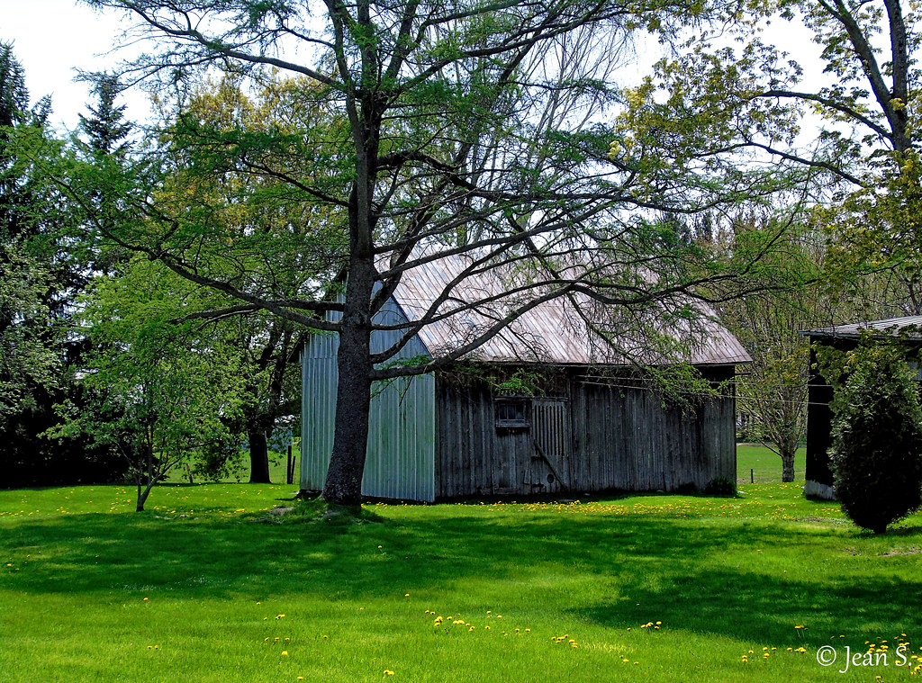 SaintThuribe, Québec mai 2021. Jean S. Flickr