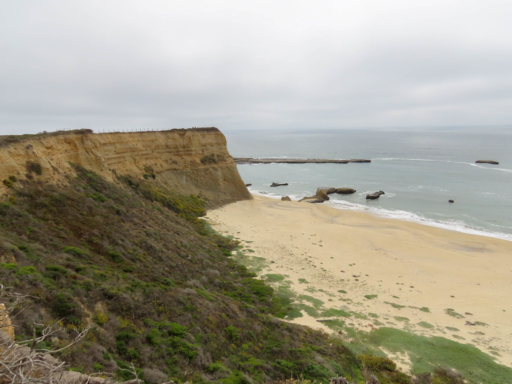 CowellPurisima Trail Jul 21 Flickr