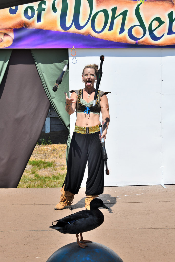 DSC_2628202107245763 Maine Renaissance Faire. Acton, Maine… Flickr