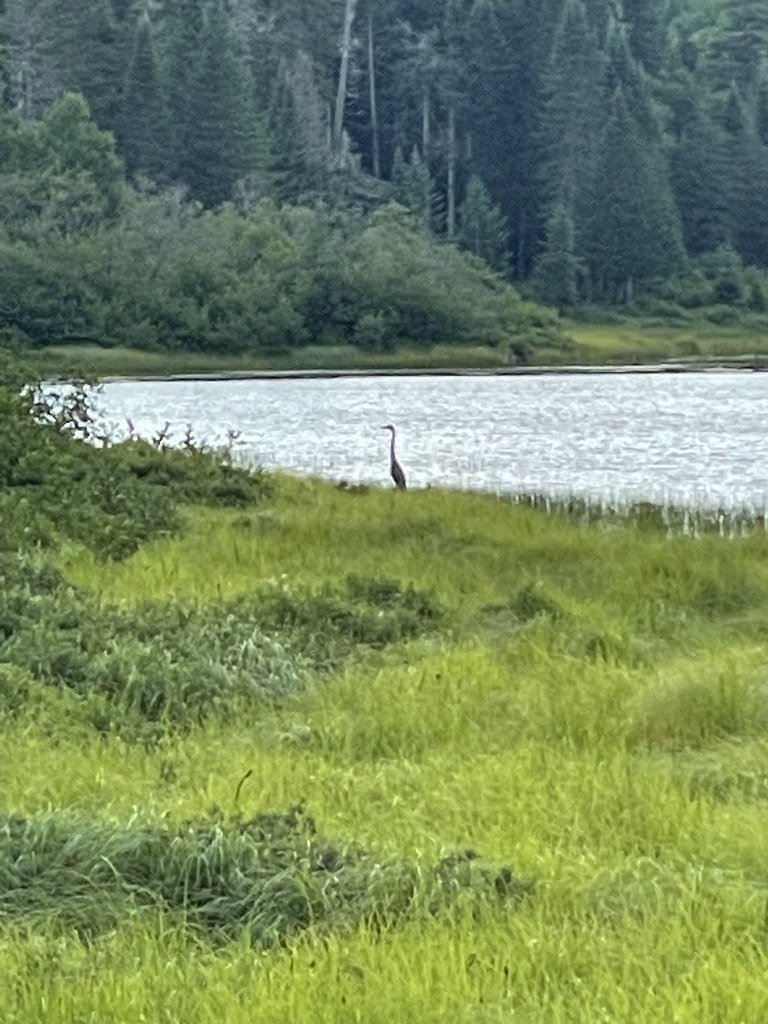 Pittsburg New Hampshire Another adventure in Pittsburg New… Flickr