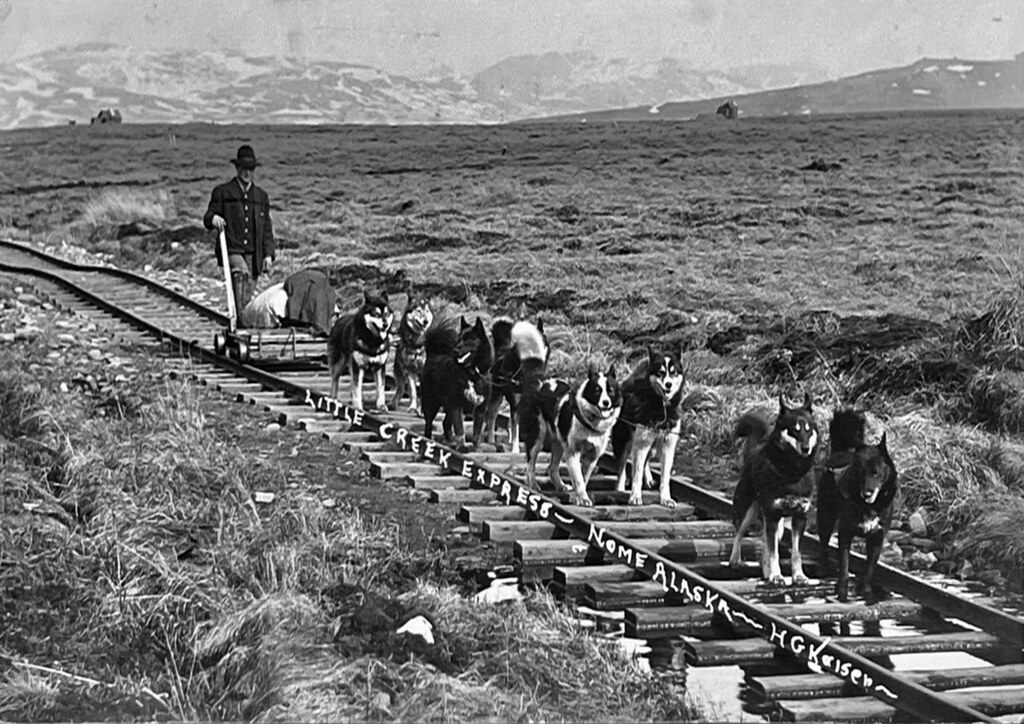 Little Creek Express Trainiac Flickr