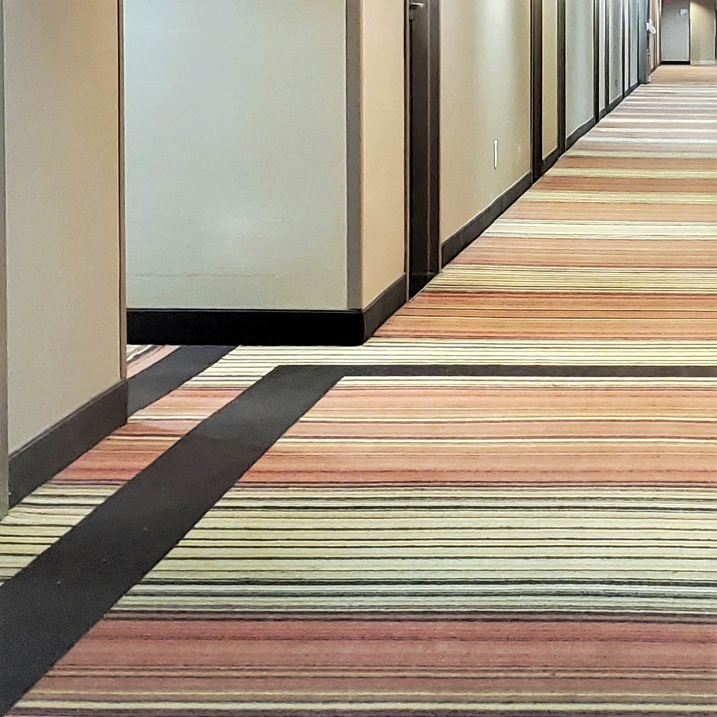 Corridor; carpet; walls Holiday Inn; Burlington, Ontario. Flickr