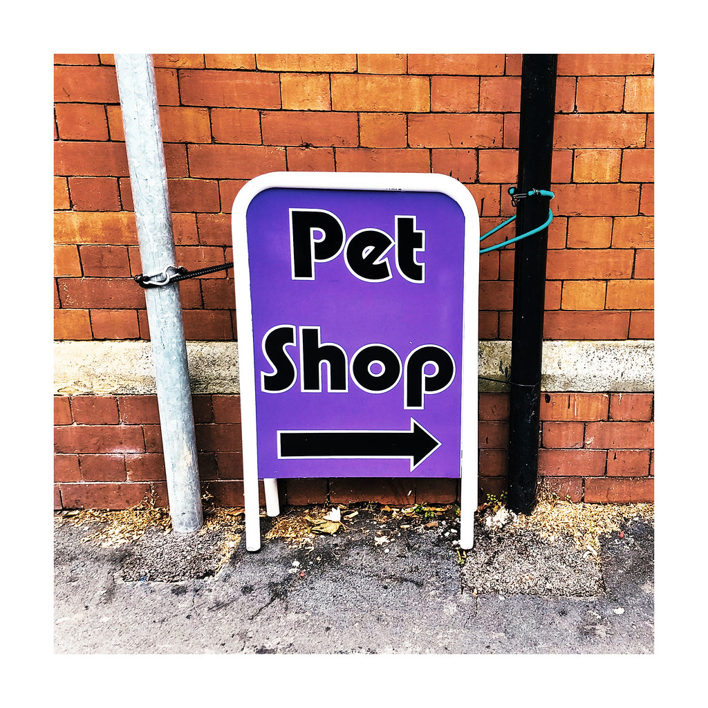 Pet Shop ! Lytham walkabouts CJS*64 Flickr