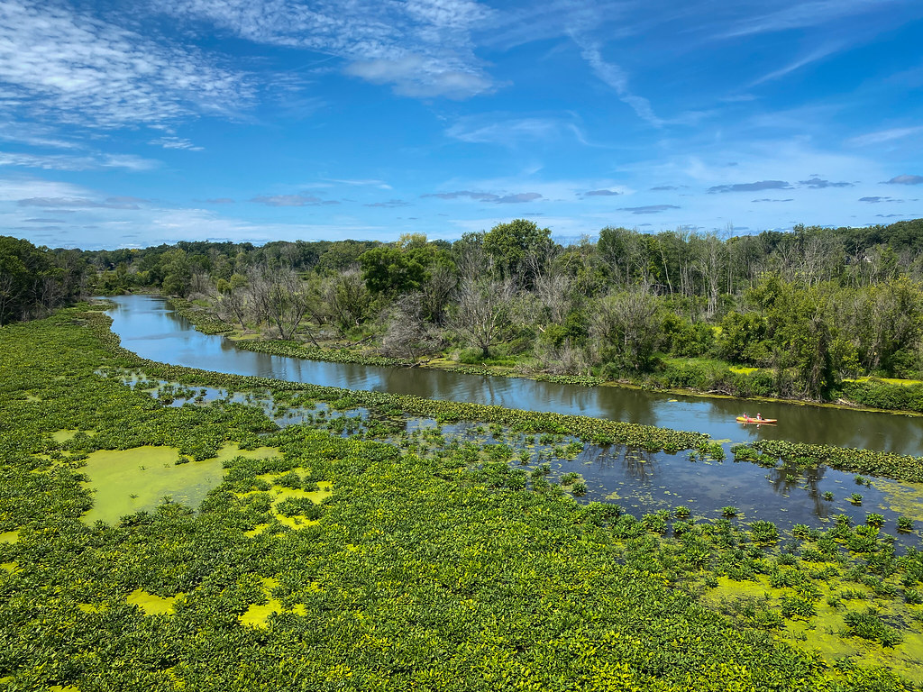 Galien River Watching canoes glide down the river from the… Flickr