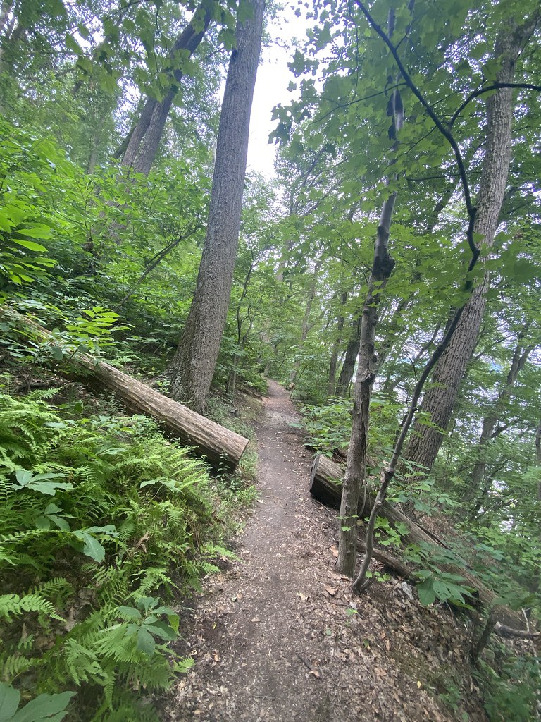 Turkey Hill Trail Seen at the Turkey Hill Nature Preserve … Flickr