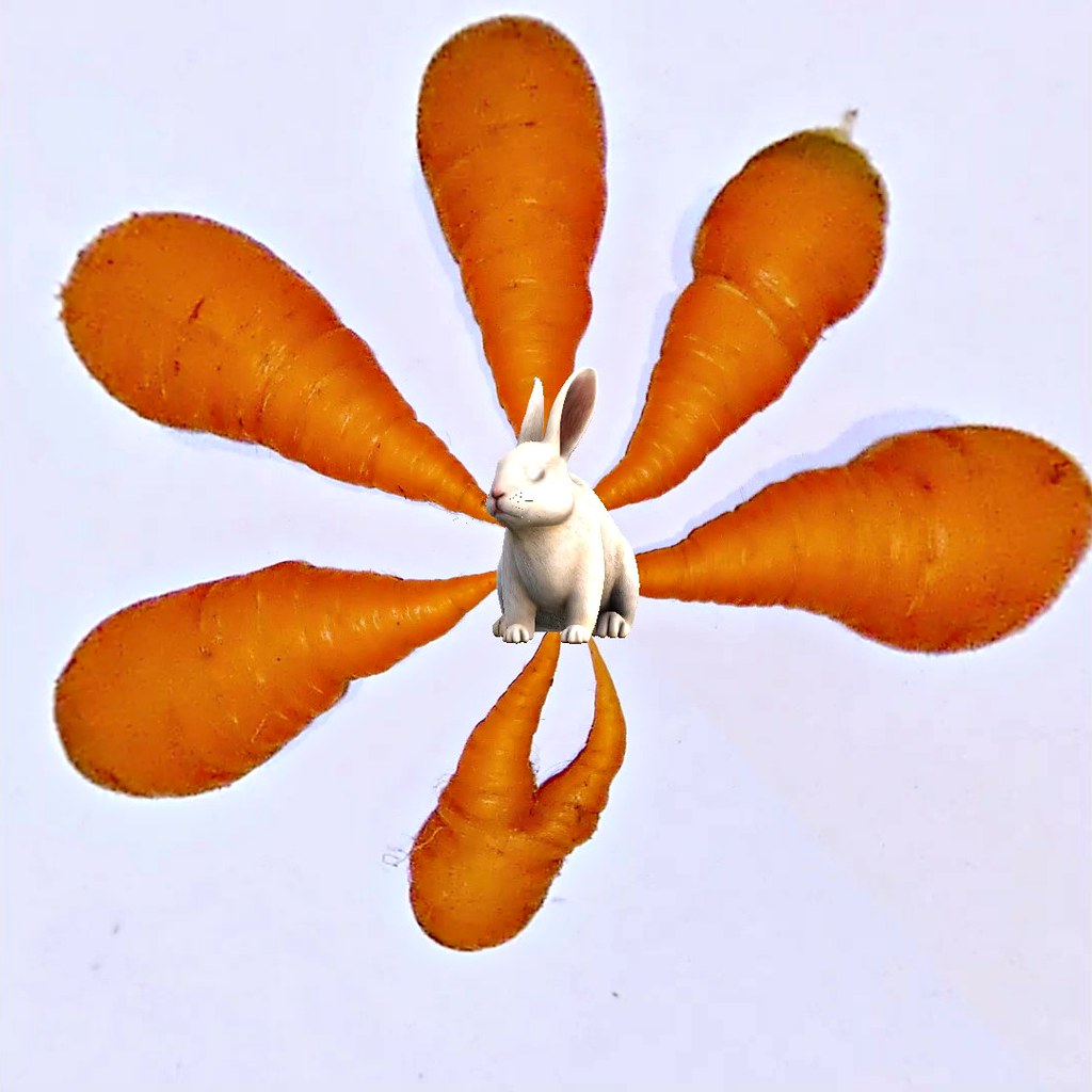 The rabbit's nightmare. Or do they have nighthares. Flickr