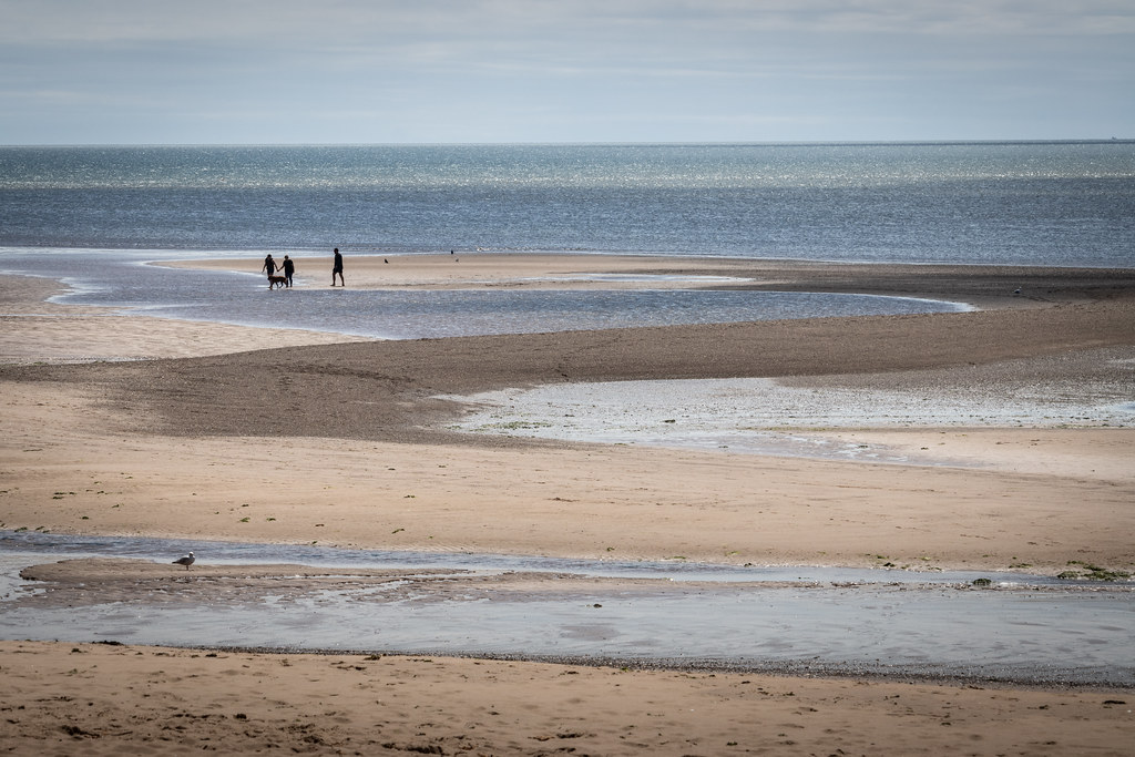 Exmouth Beach Devon UK Exmouth beach at low tide; in D… Flickr