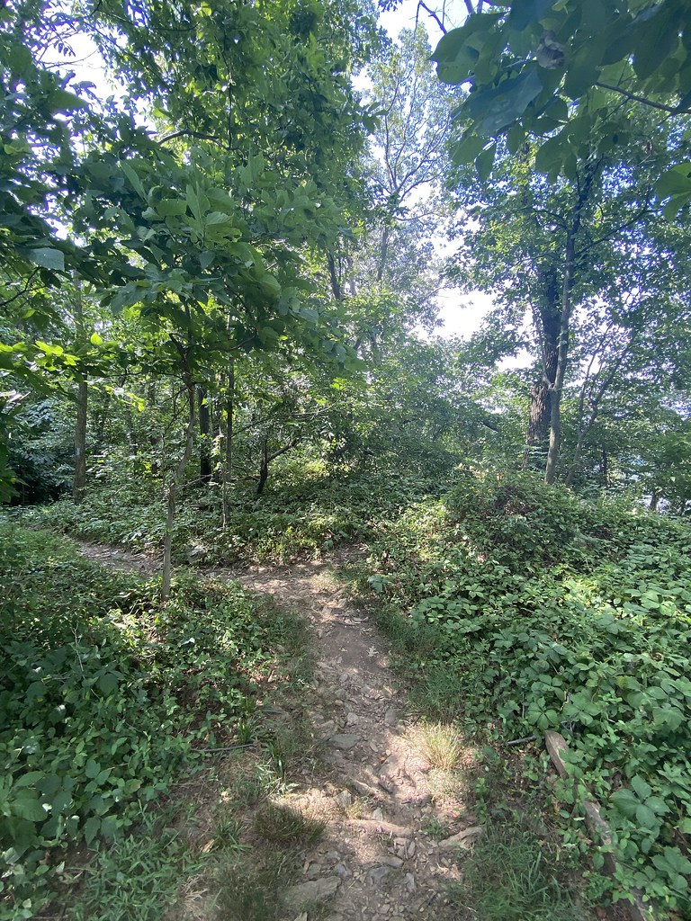 Turkey Hill Nature Preserve Seen in Turkey Hill Nature Pre… Flickr