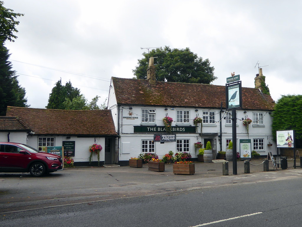 The Blackbirds at Flitwick, Bedfordshire 01Aug21 Flickr