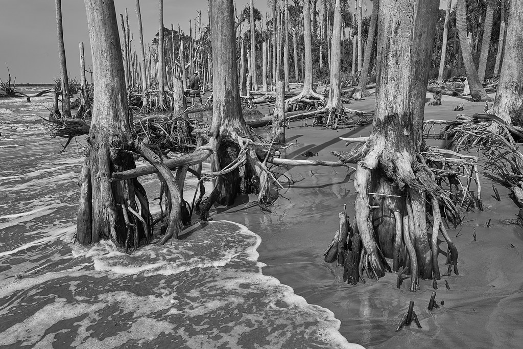 Dewees and Capers Islands with the Leica Q2 Monochrom Flickr