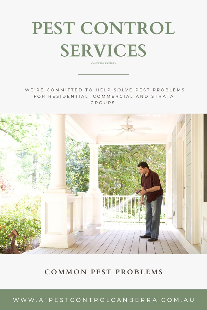 PEST CONTROL SERVICES CANBERRA EXPERTS www.a1pestcontrolca… Flickr