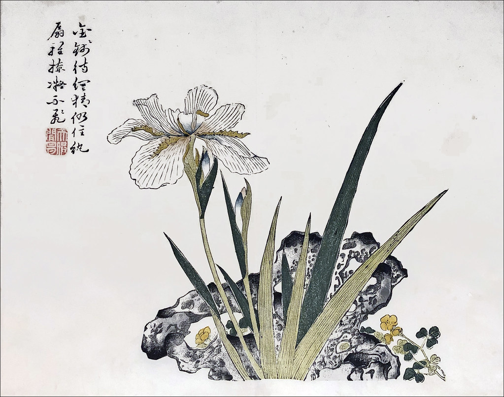 Iris Et Rocher Musee Guimet Paris Iris Et Rocher Chine Flickr