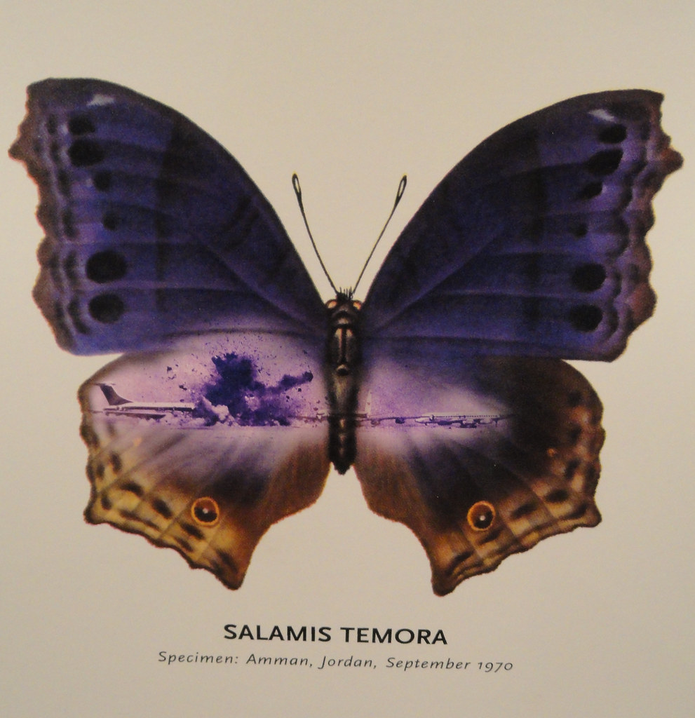 Salamis Temora (2002), Peter Holst Henckel michael_s_pictures Flickr