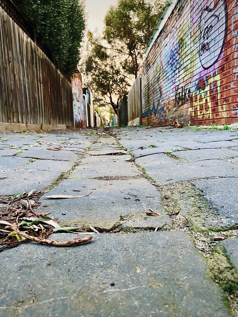 222/365. Early evening sky at the end of the lane. The sky… Flickr