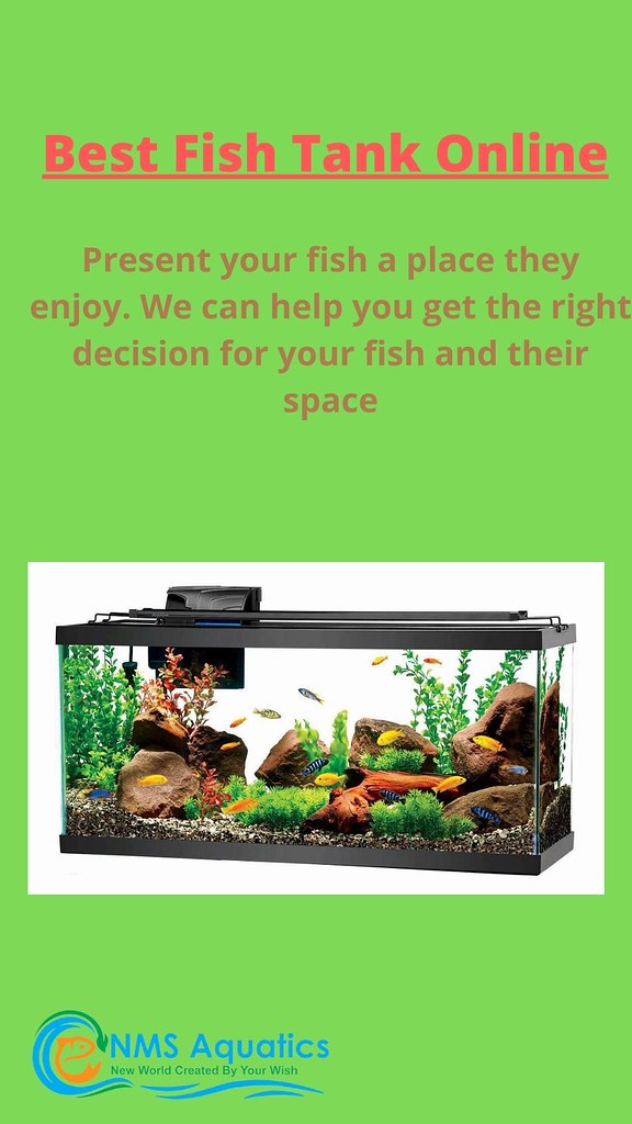 Best Fish Tank Online Give your fish a place they enjoy. W… Flickr