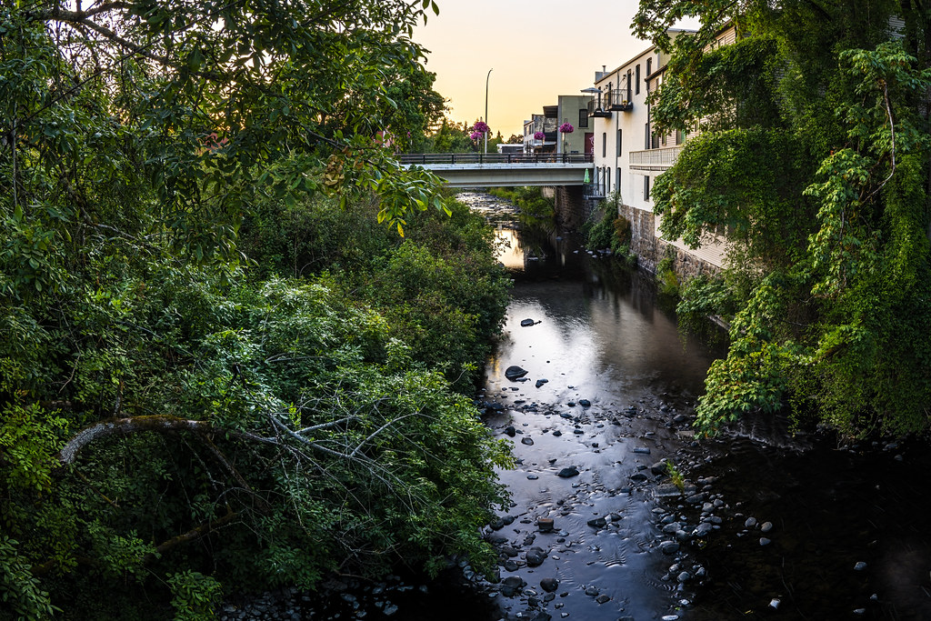 Silverton Oregon July 2021 Max Rae Flickr