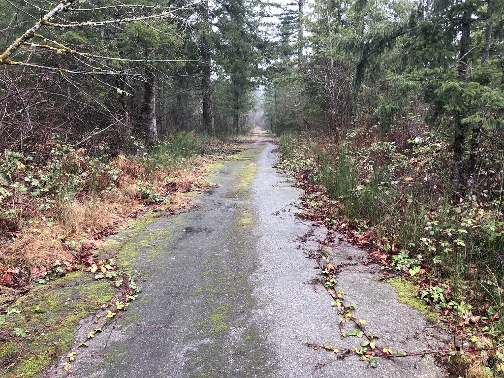 SR 169 Ravensdale Creek project to improve fish passage Flickr