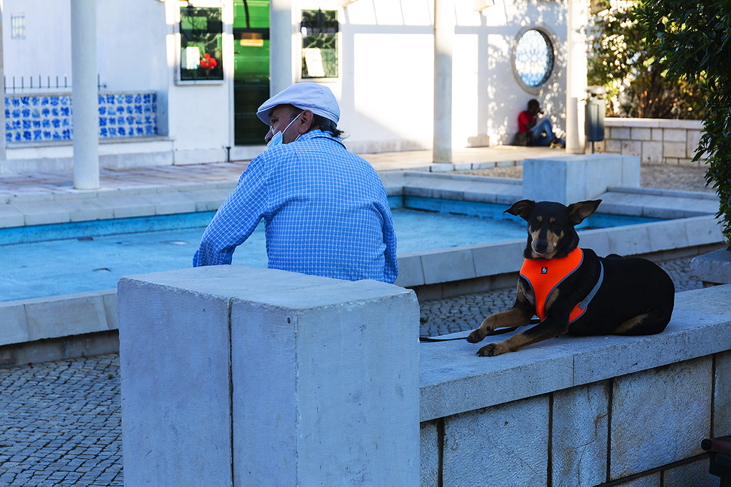 Lisbondog ALDO CRISCI Flickr