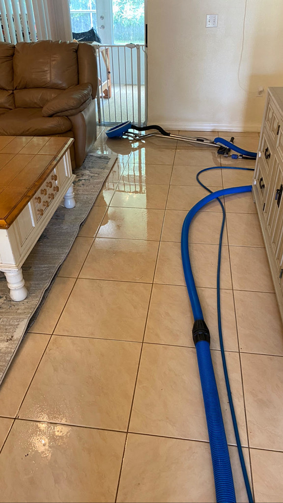 Carpet cleaning lake mary 2M Carpet Cleaning 389 Magnolia … Flickr