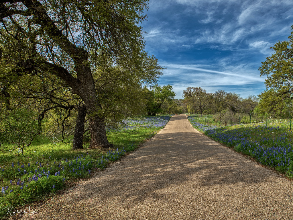 Along The Willow City Loop, Gillespie County, … Flickr