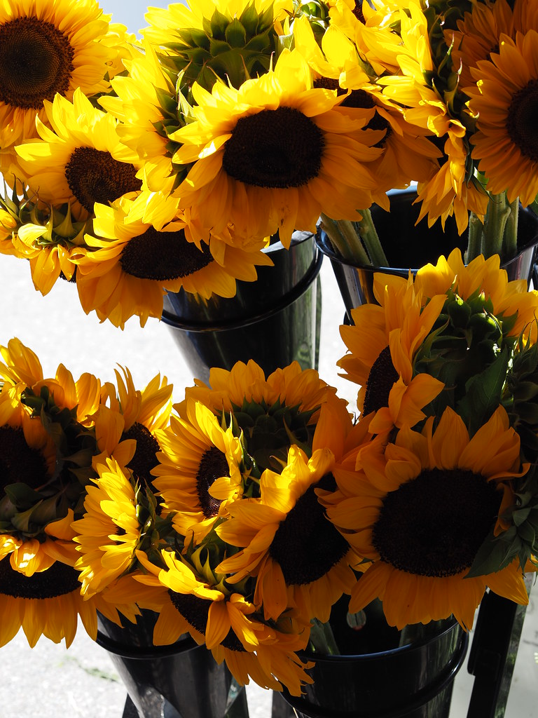 Sunflowers at the farmers market Kirk Radford Flickr