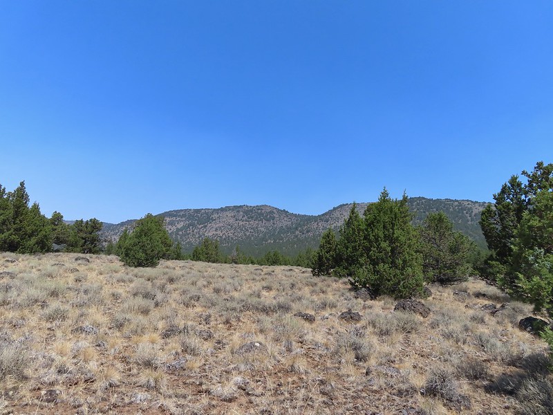 Big Indian Creek wanderingyuncks