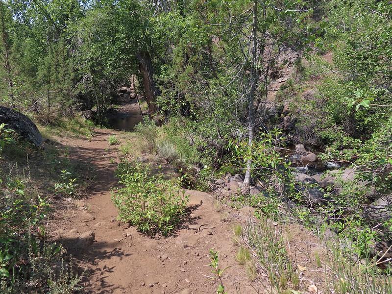 Big Indian Creek wanderingyuncks