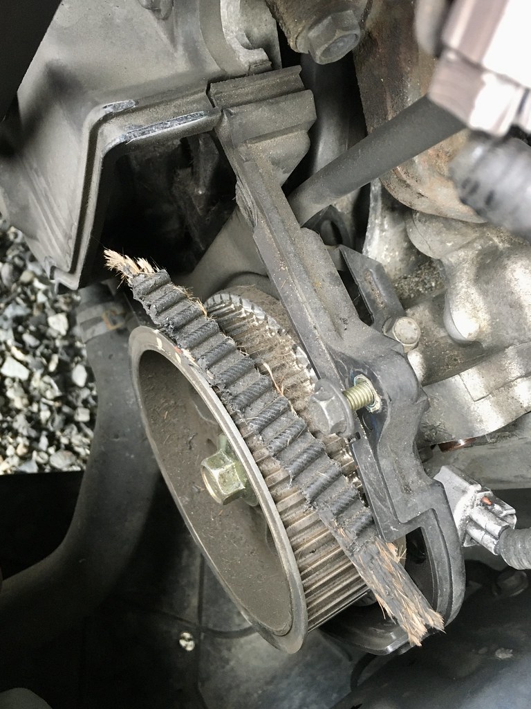 Cam Belt Failure Pacific Northwest