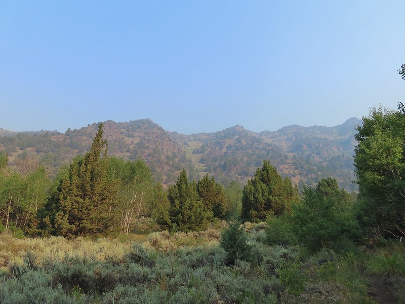 Big Indian Creek wanderingyuncks