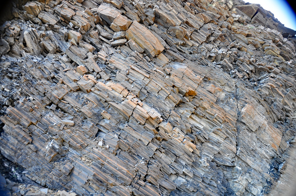 Cow Branch Formation (Upper Triassic; Pit B of Solite Quarry, near Eden