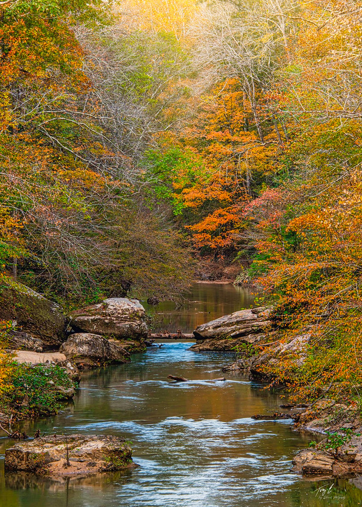 Sipsey River Bankhead NF 20191116IMG_8031 Geologist Tony Flickr