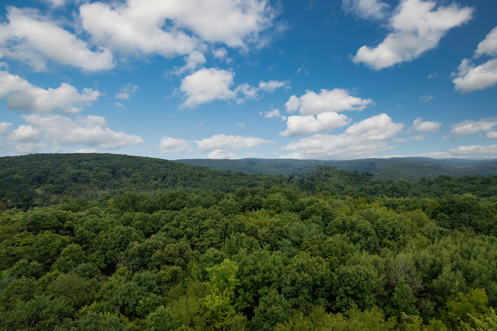 2694 Ransom Road, Clarks Summit Flickr