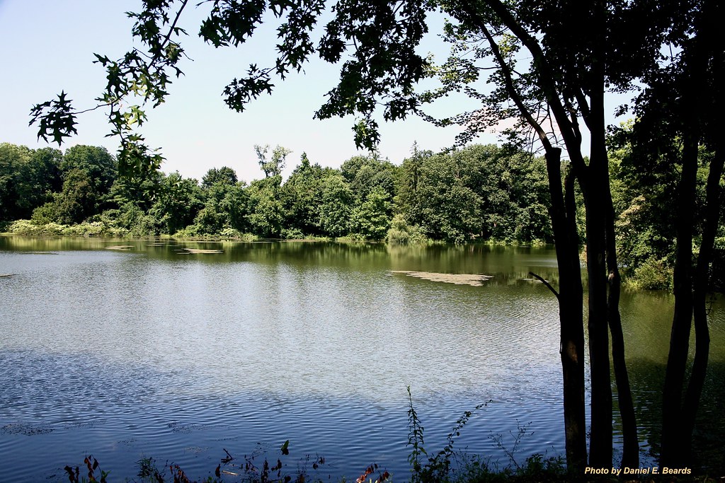 Black River Pond Black River Pond is a lake located on the… Flickr