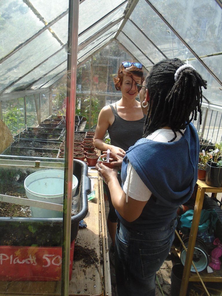 Greenhouse gas Laz Grayson Flickr