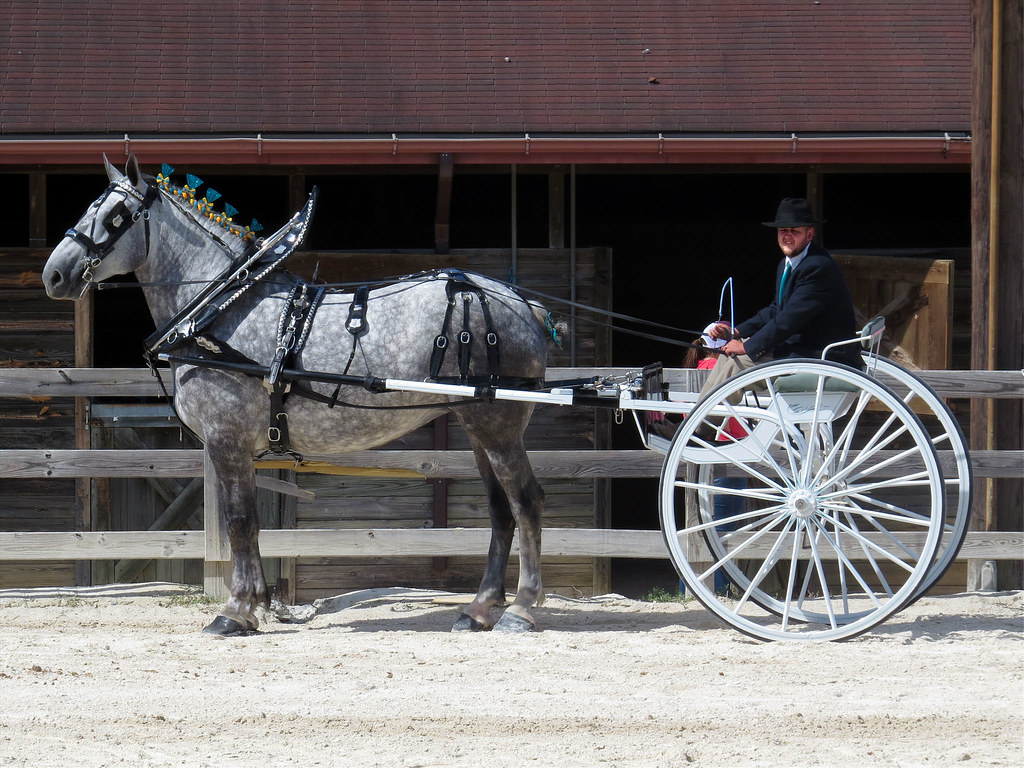 Equestrian Event Maryland State Fair in Baltimore County Mark Jonas