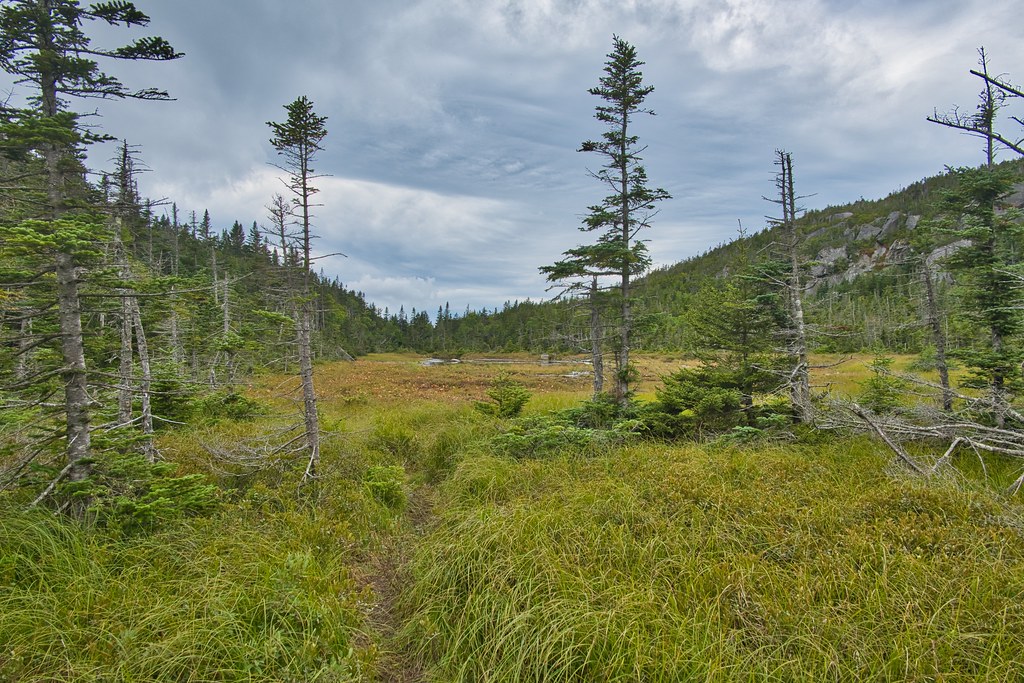 Harrington Pond On the Kinsman Ridge Trail, White Mountain… Flickr